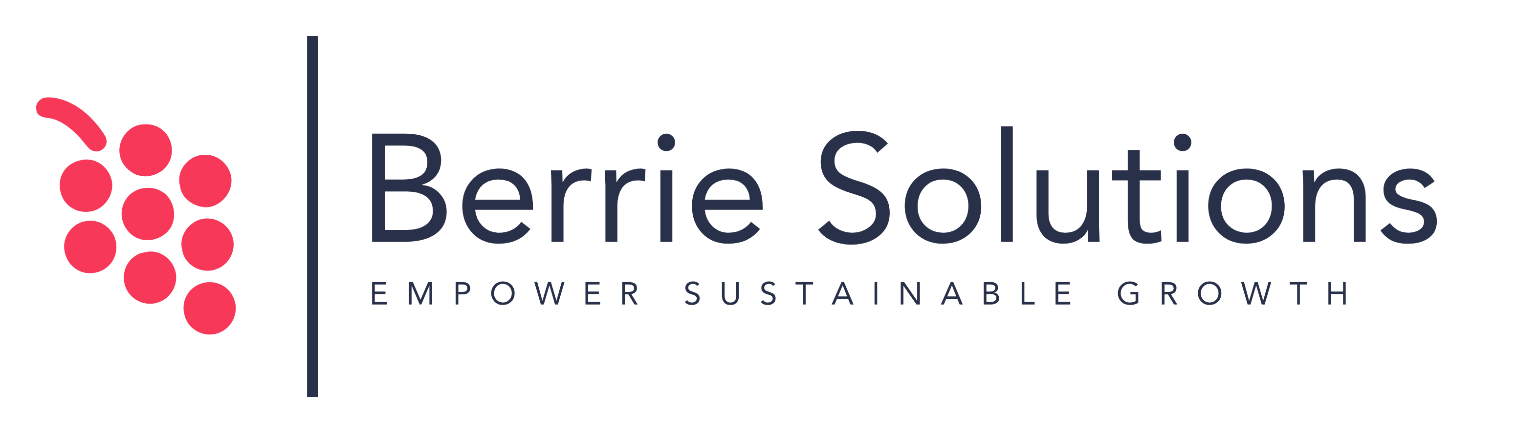 Berrie Solutions